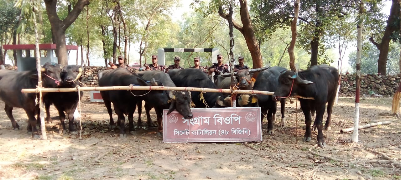 সিলেট সীমান্তে ৪৮ বিজিবি অভিযানে ৬৮ লক্ষ ৩২ হাজার টাকার চোরাচালানী মালামাল আটক