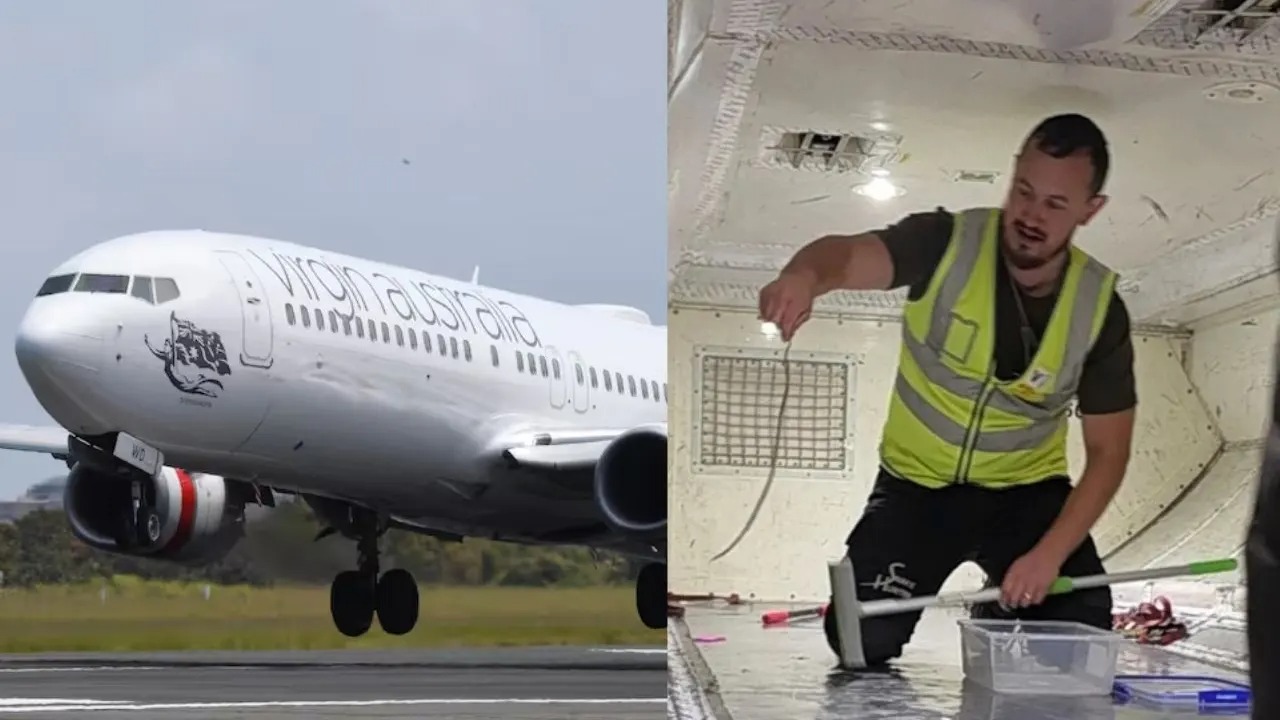 বিমানে উঠে পড়ল সাপ, চাঞ্চল্য মেলবোর্ন বিমানবন্দরে!