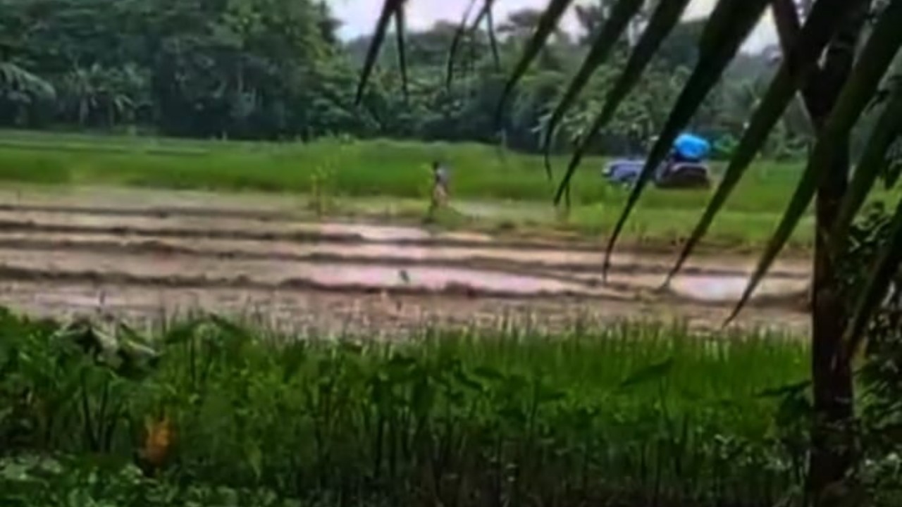 বরগুনায় আদালতের নিষেধাজ্ঞা অমান্য করে জমি দখলের চেষ্টা, এলাকাজুড়ে চরম উত্তেজনা