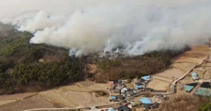 দক্ষিণ কোরিয়ায় ভয়াবহ দাবানলে মৃত্যু বেড়ে ১৮